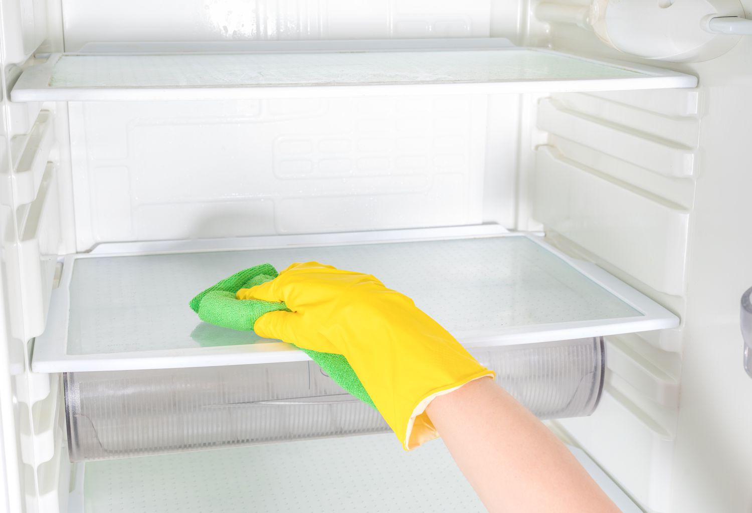 تنظيف الثلاجة من العفن